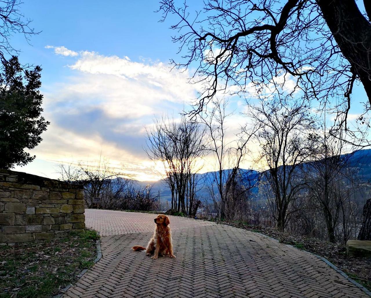 Agriturismo Il Salice Tizzano Val Parma Exteriér fotografie